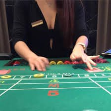 Casino-style table and game categories arranged for calm reading